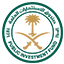 صندوق الاستثمارات العامة